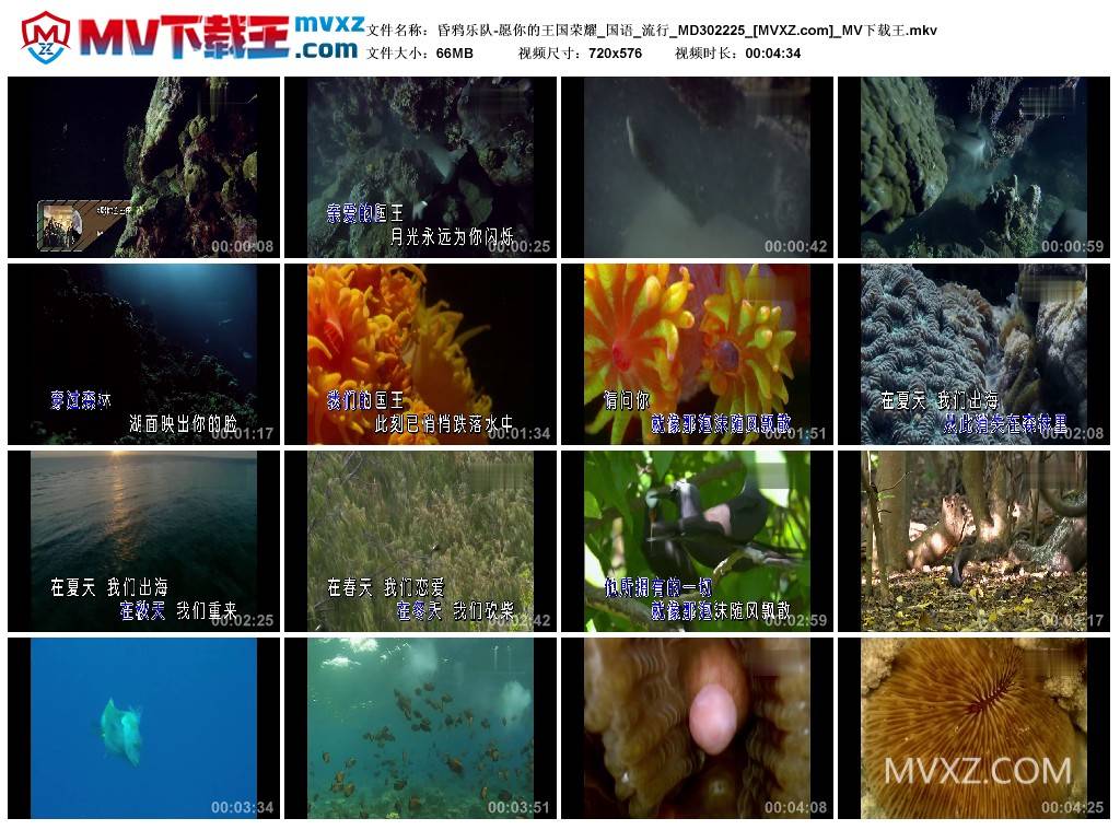 昏鸦乐队-愿你的王国荣耀_国语_流行_MD302225